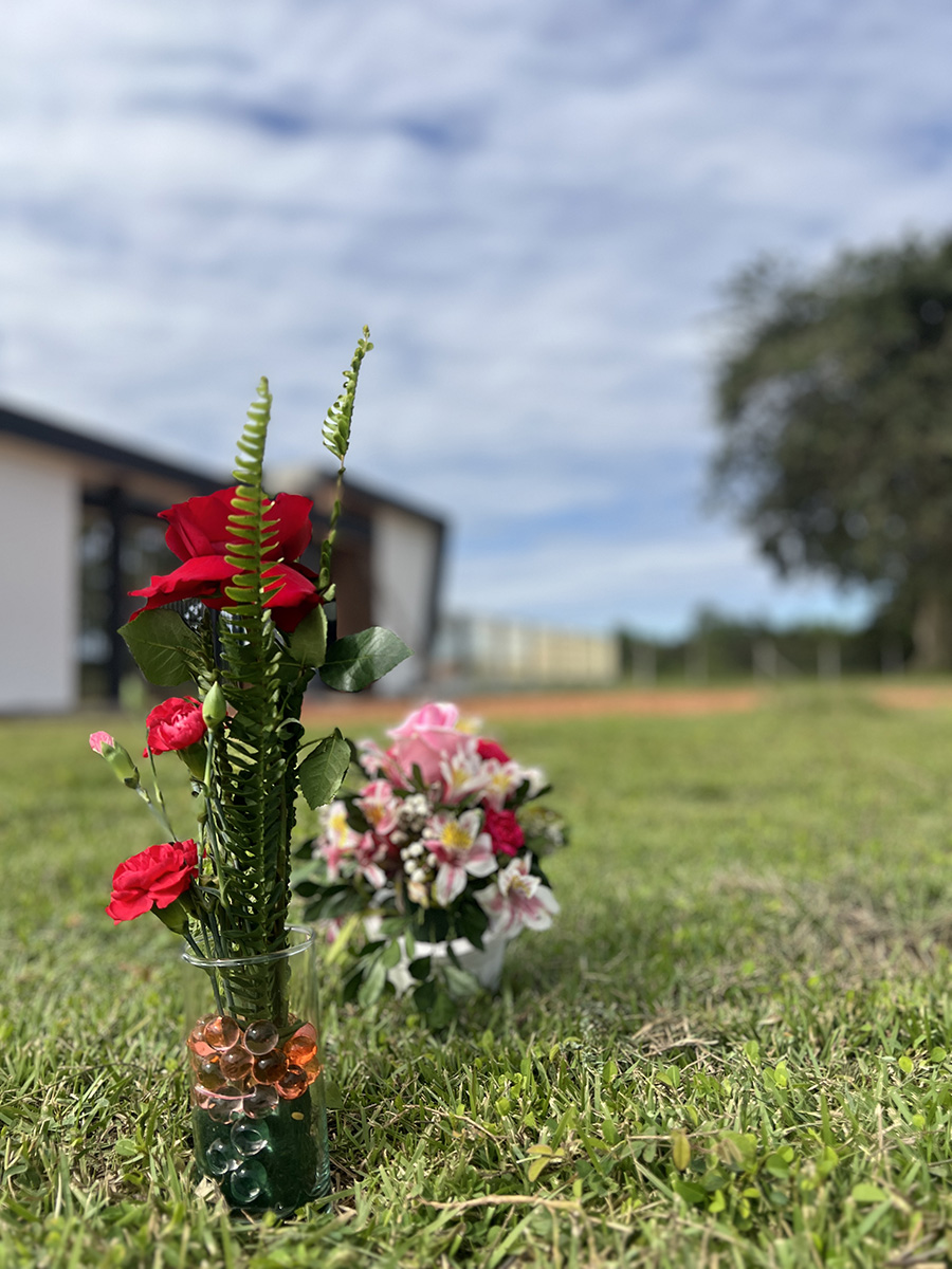 Fotografía del avance de obra en La Morada — imagen 06